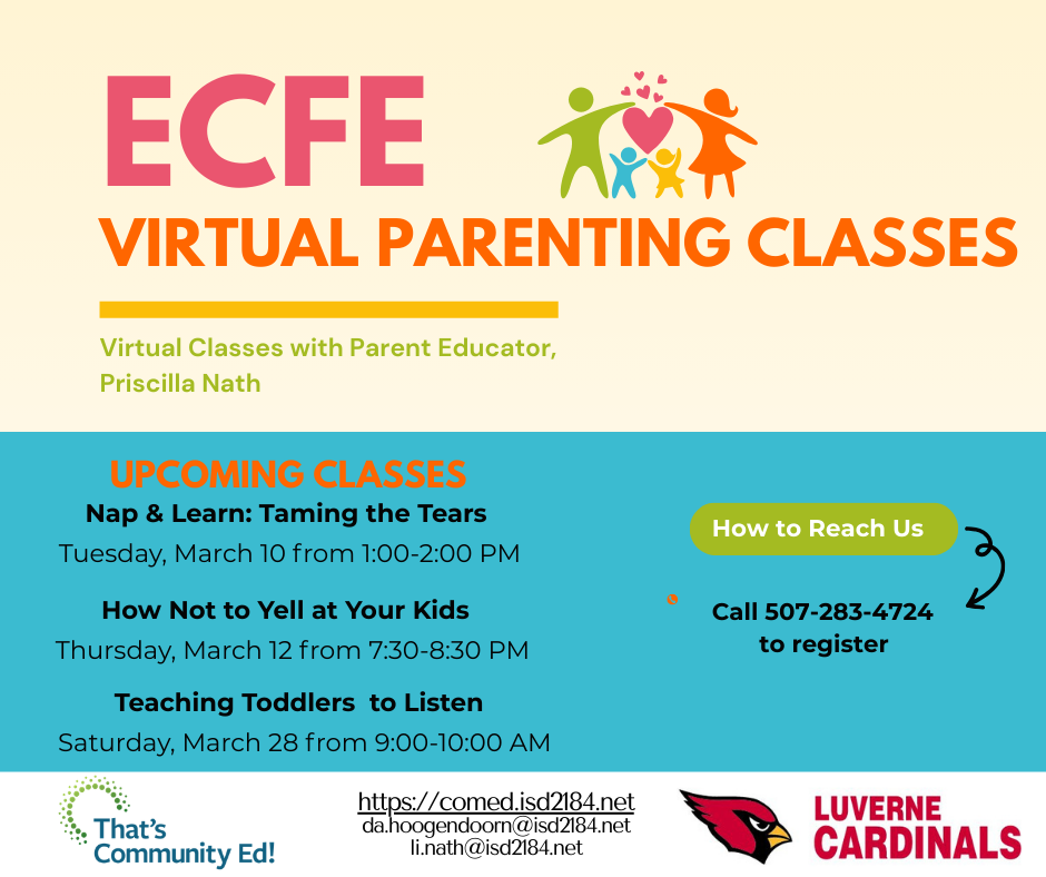 ecfe-virtual-classes