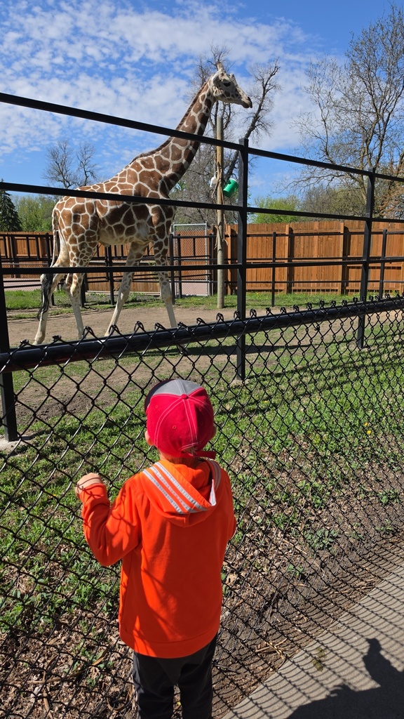 discovery-time-preschool-zoo-field-trip