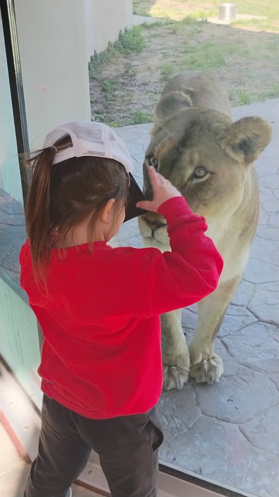 discovery-time-preschool-zoo-field-trip