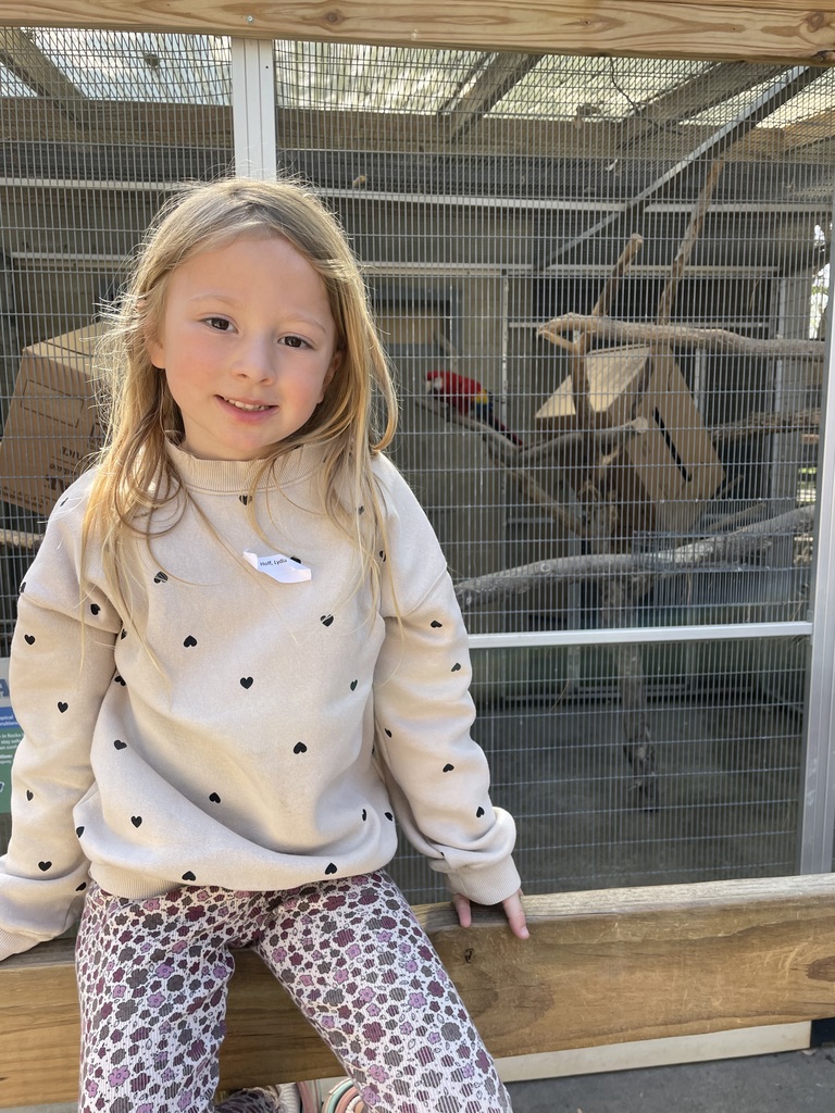 discovery-time-preschool-zoo-field-trip