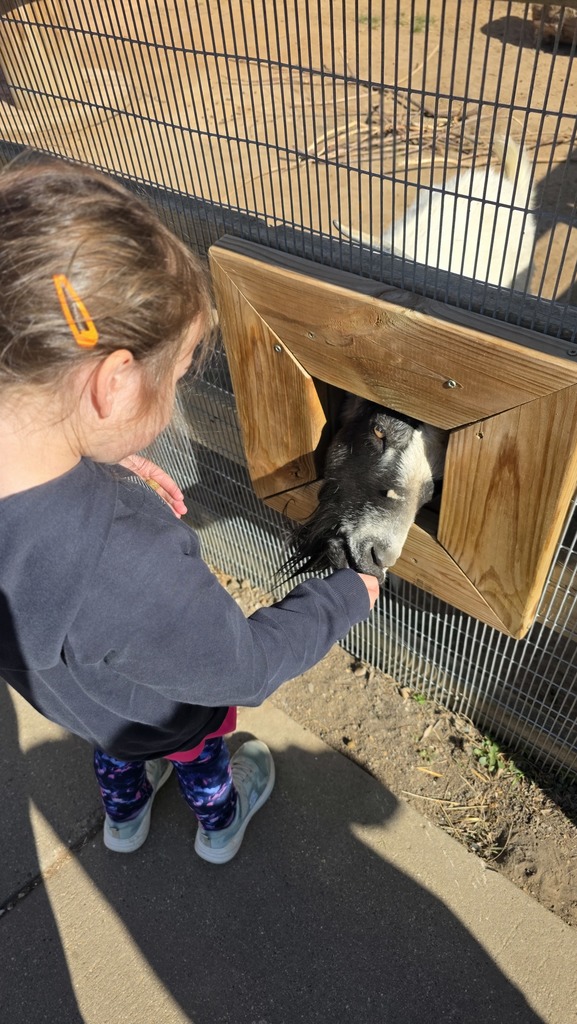 discovery-time-preschool-zoo-field-trip