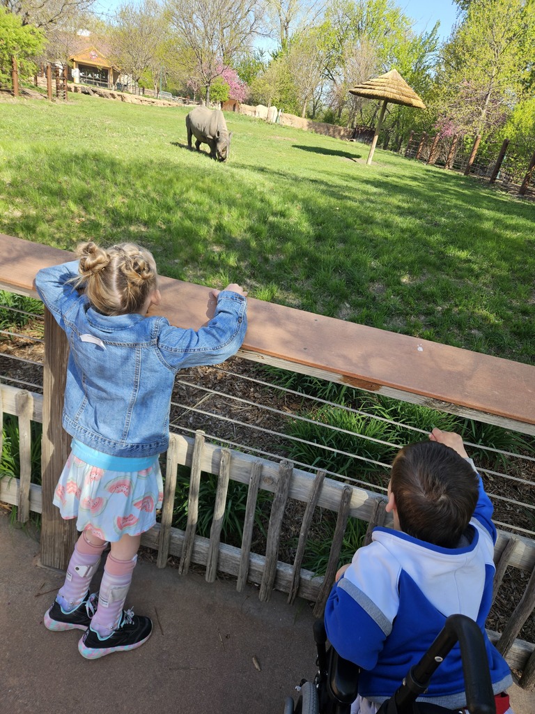 discovery-time-preschool-zoo-field-trip