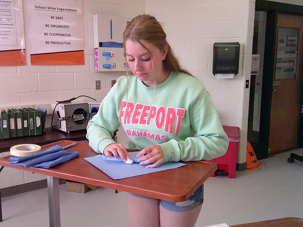 Pre-Nursing and Health Science 