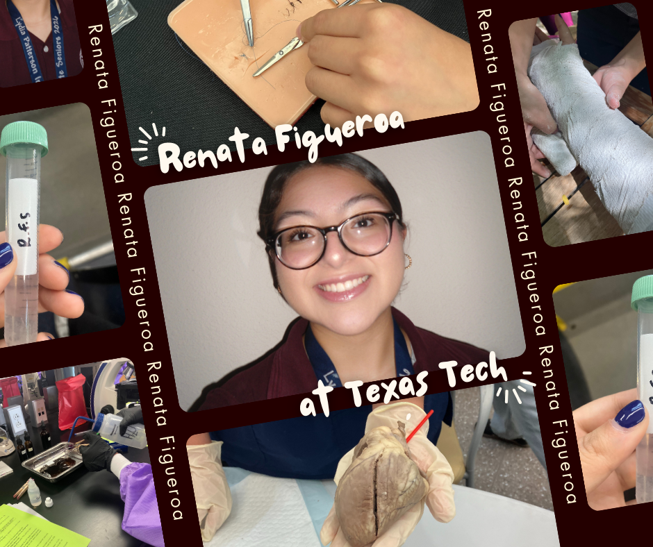 Renata Figueroa.