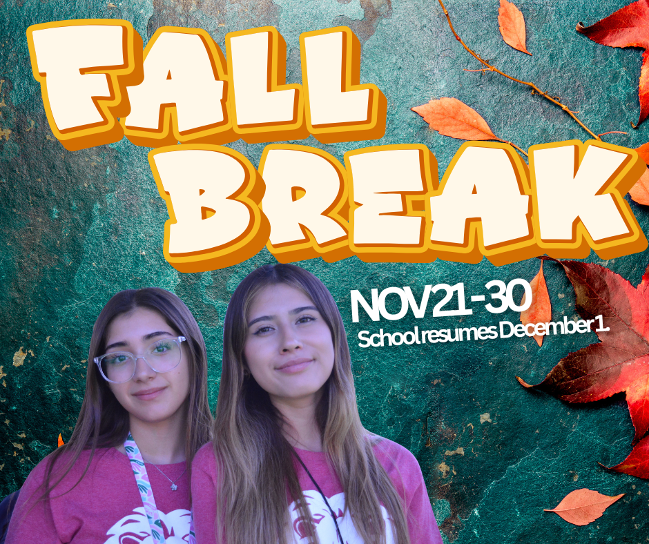 November 2025 Events