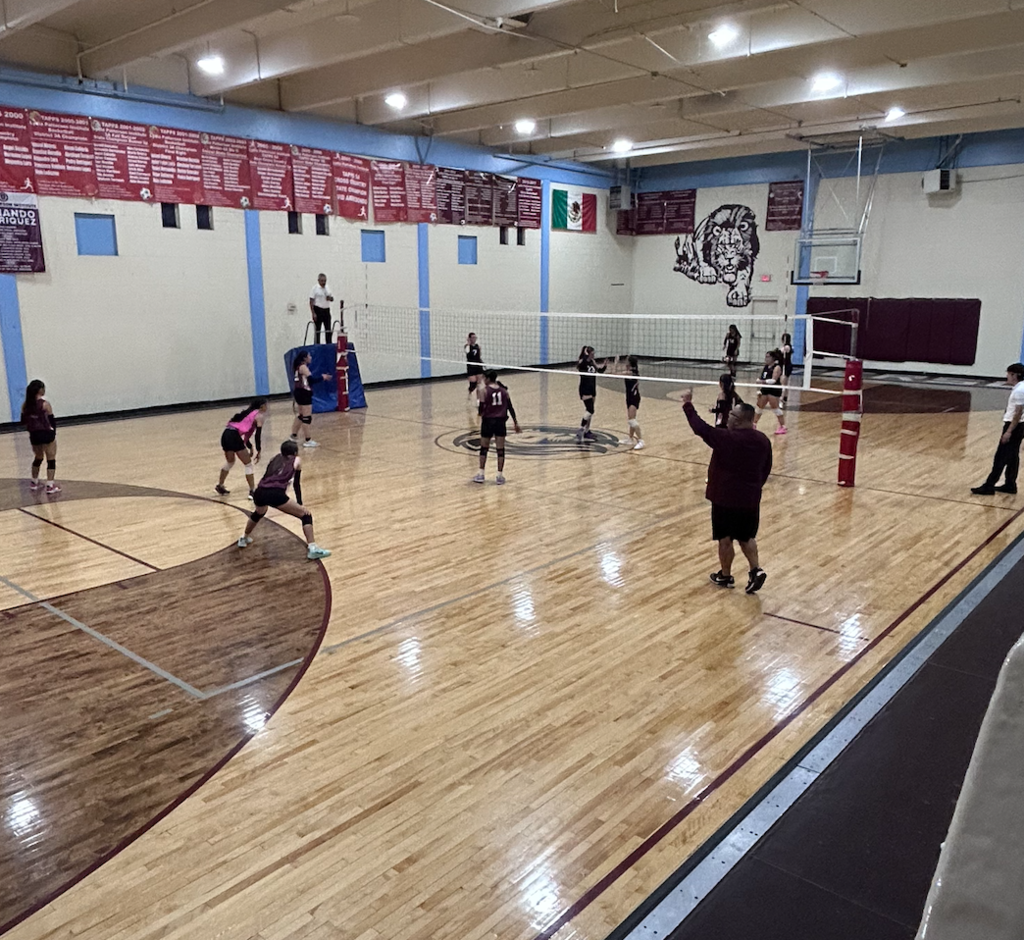 Volleyball girls on the court