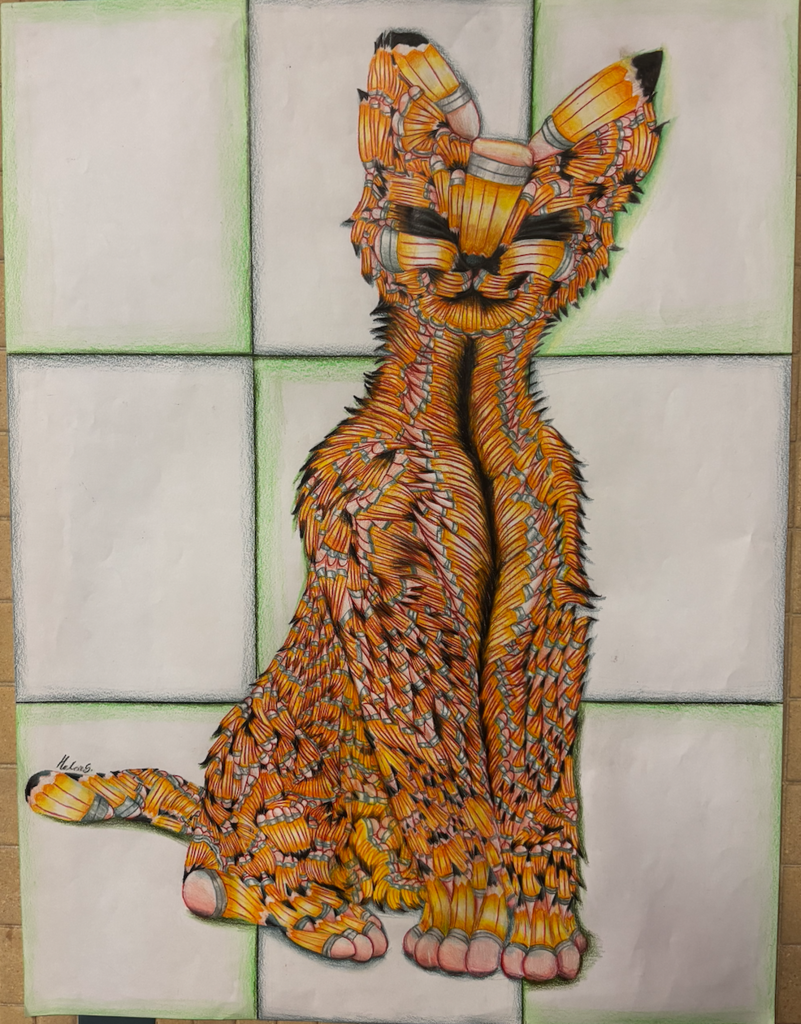 Pencil Art Project.