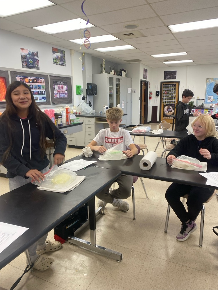 Phase Changes Lab
