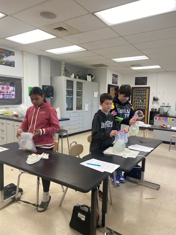Phase Changes Lab