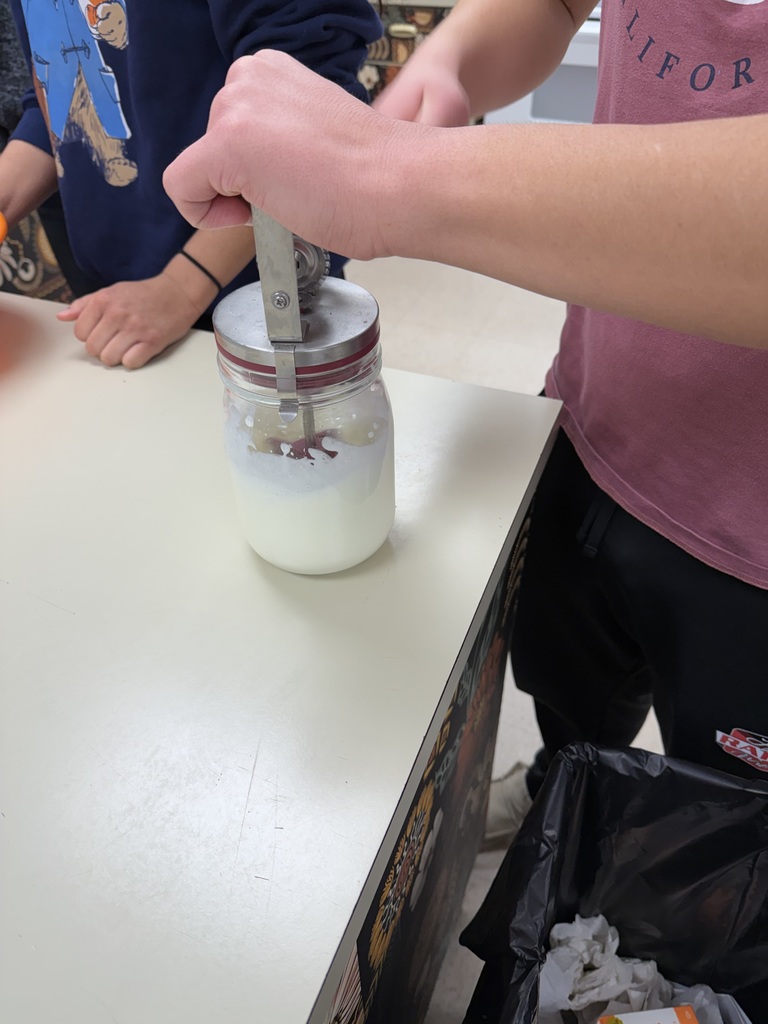 Health and Life Management