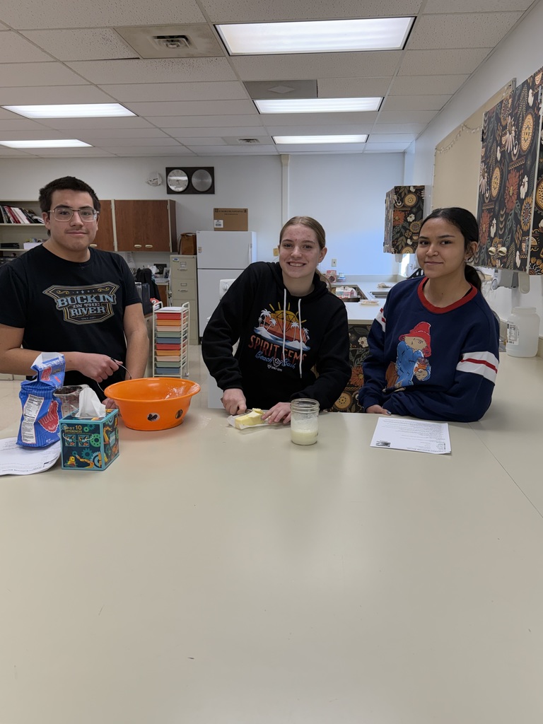 Health and Life Management