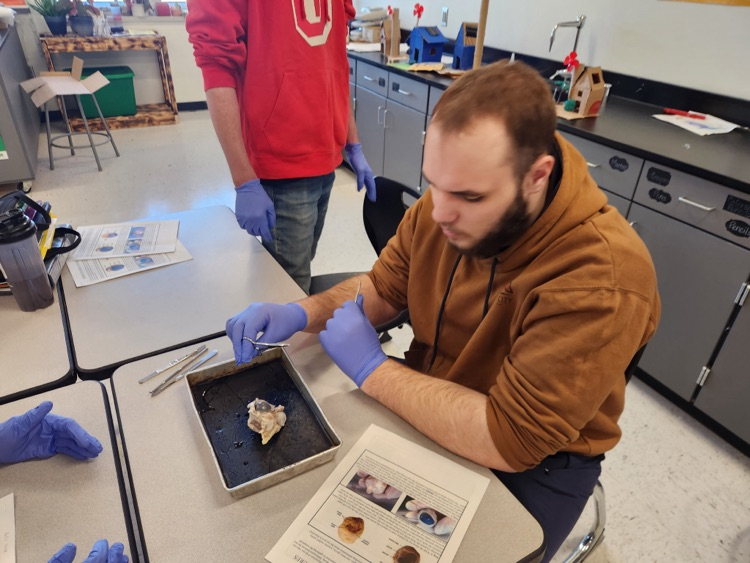 Science