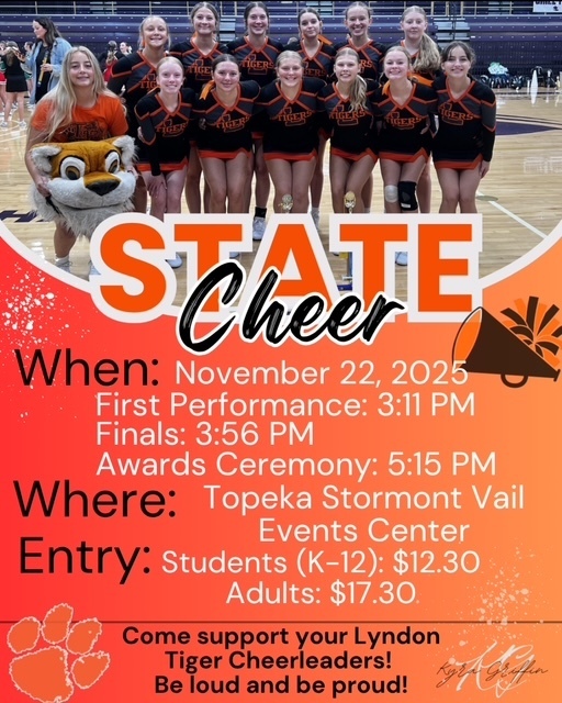 LHS Cheer State Competition!