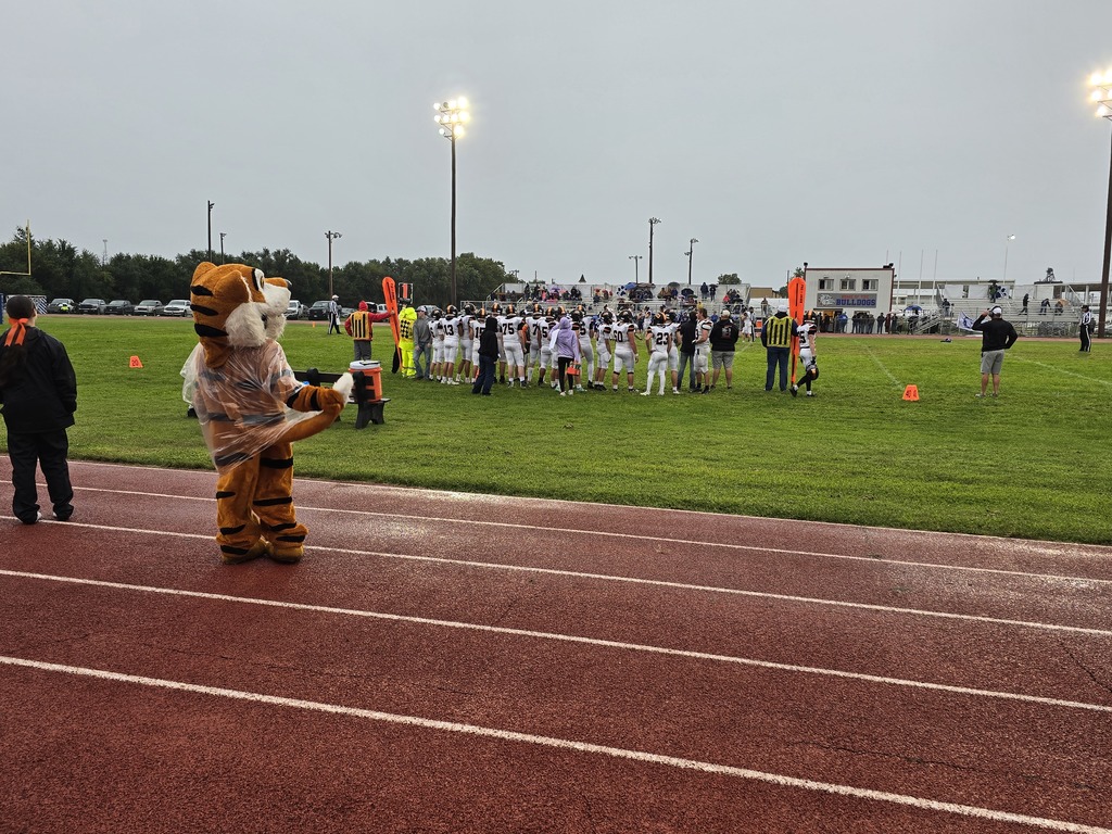 Tigers and Team 2025