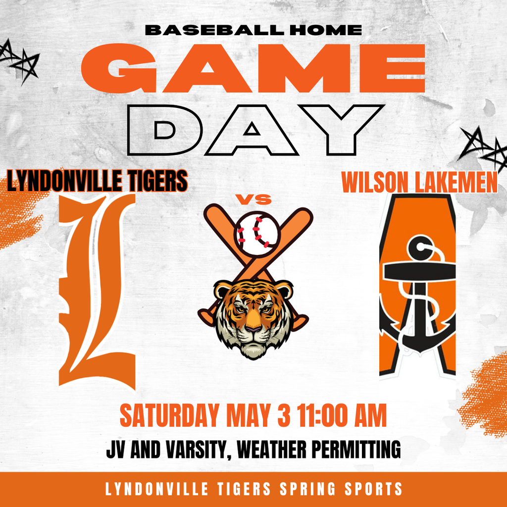 baseball game flyer