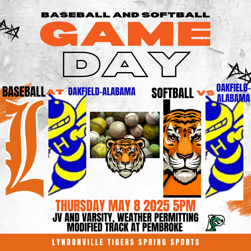 baseball & softball flyer