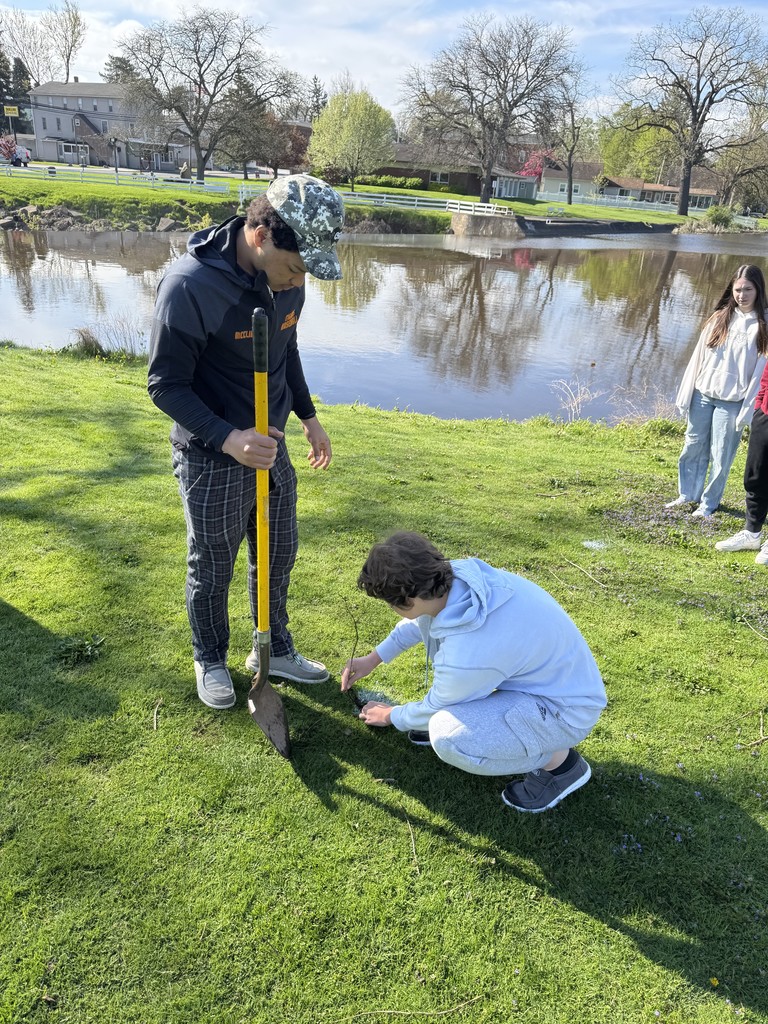 two students trying to plant tree in the ground
