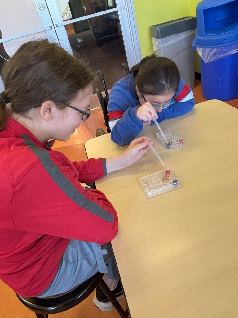 two students working at a table on science experiment