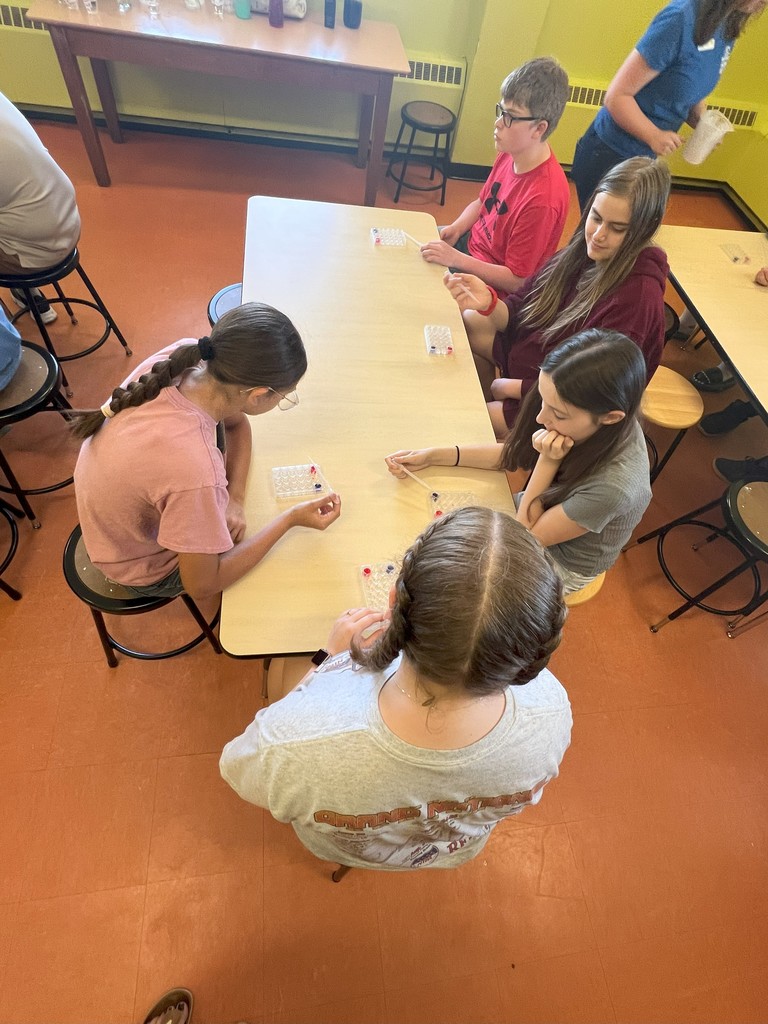 students working at a table on science experiment