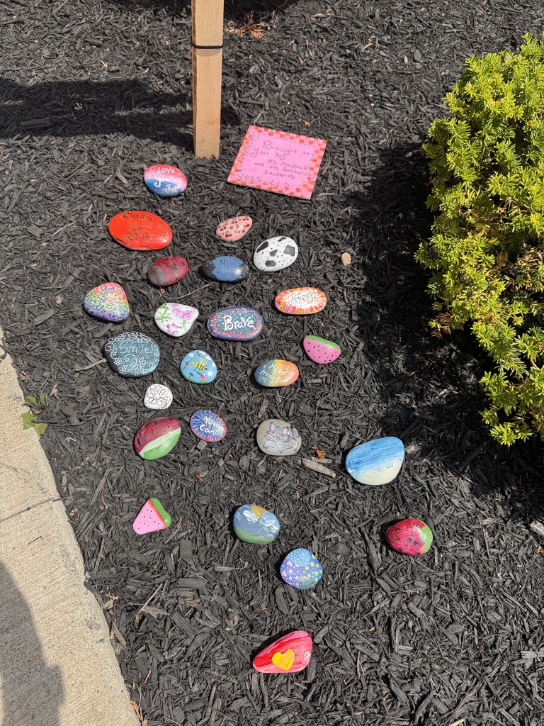 rocks in landscaping