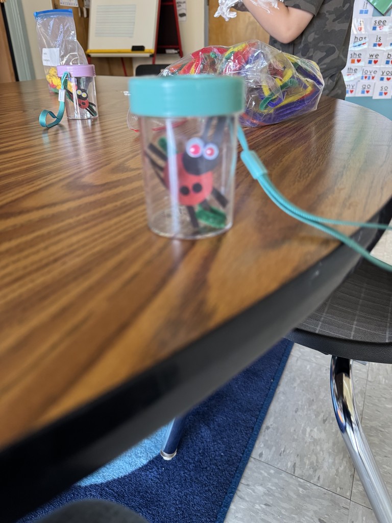 paper bugs in containers on table