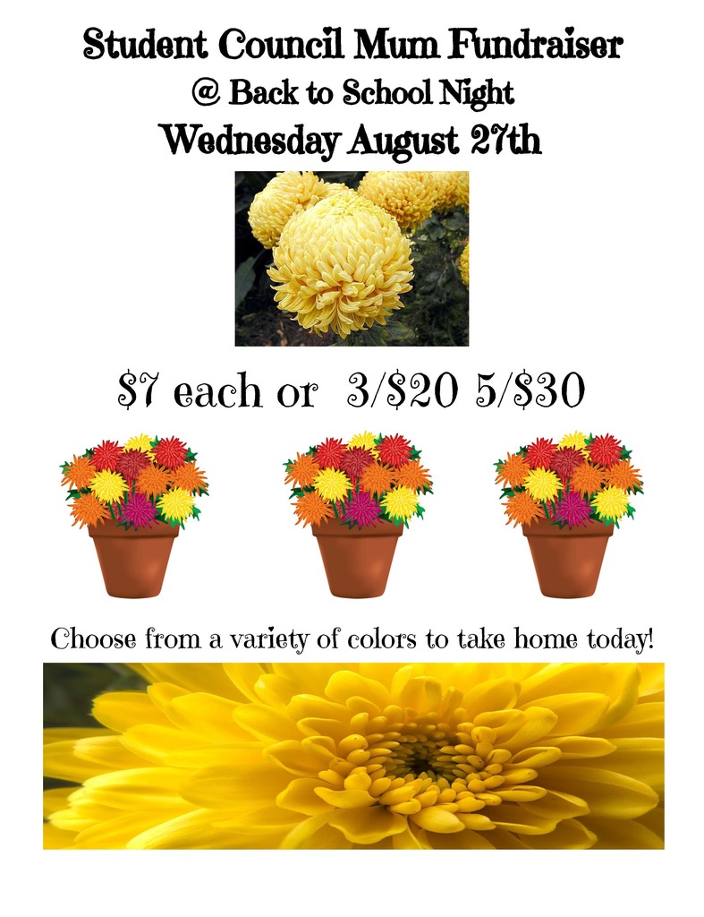 mum sale flyer