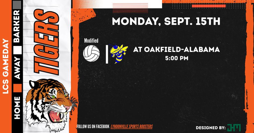 modified volleyball game flyer