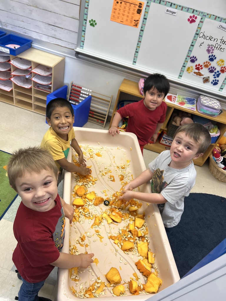 students playing with pumpkin guts in classroom