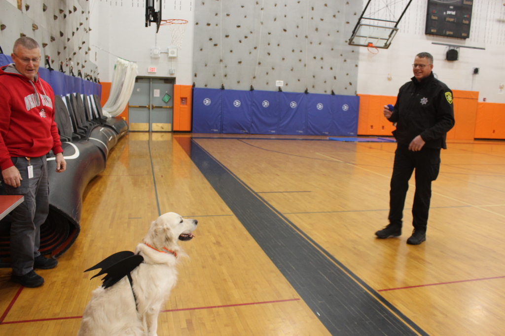 dog sitting in gym wearing batwings while adults observe him