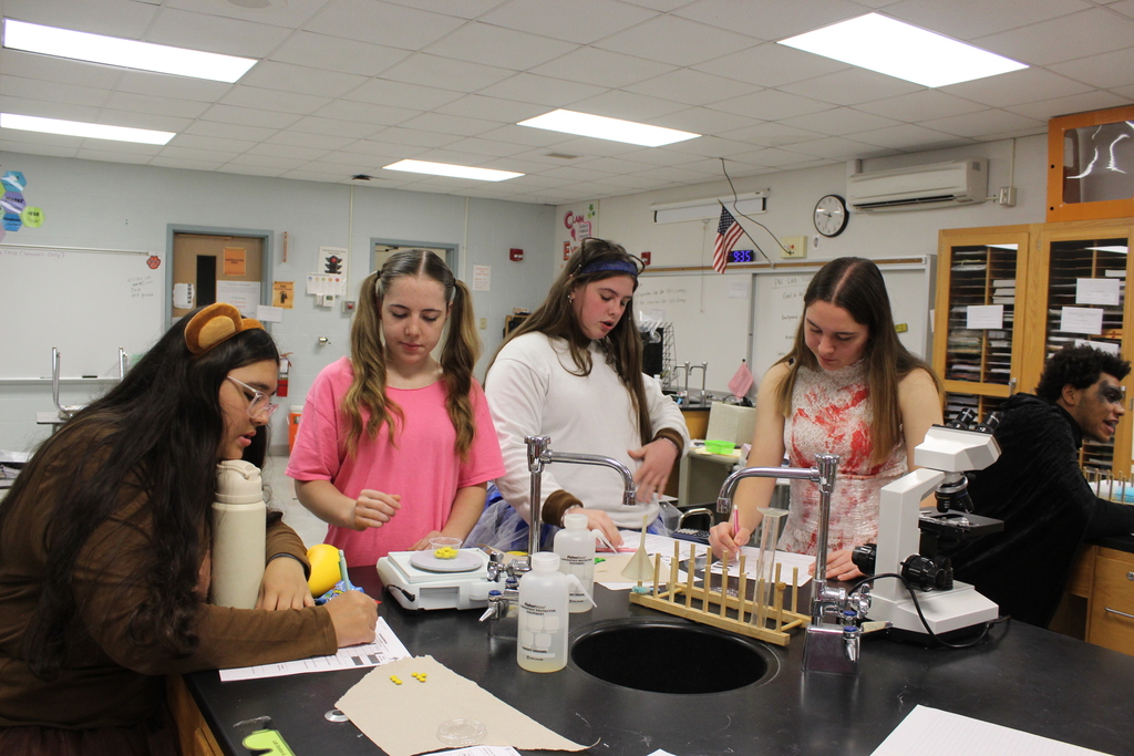students completing science experiments