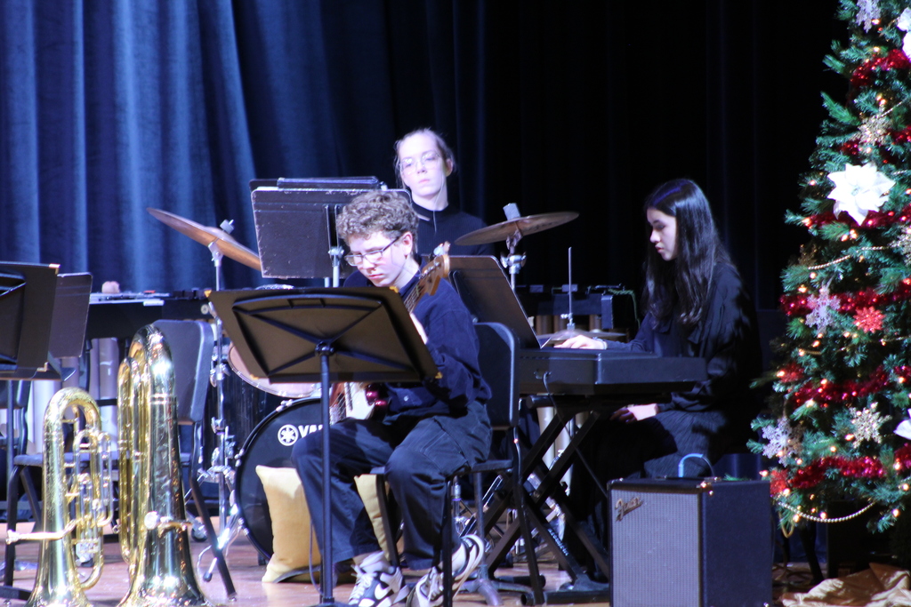 students playing instruments in band on stage