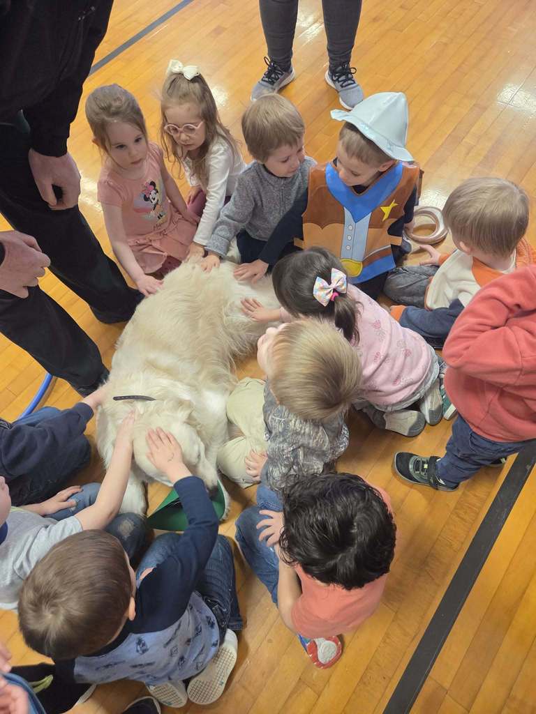 students petting dog