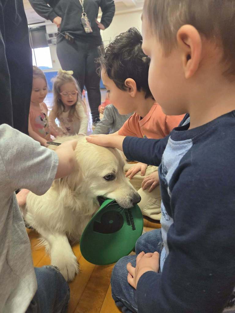 students petting dog