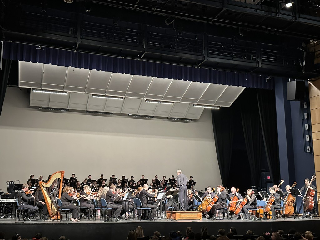 orchestra perfomring on stage