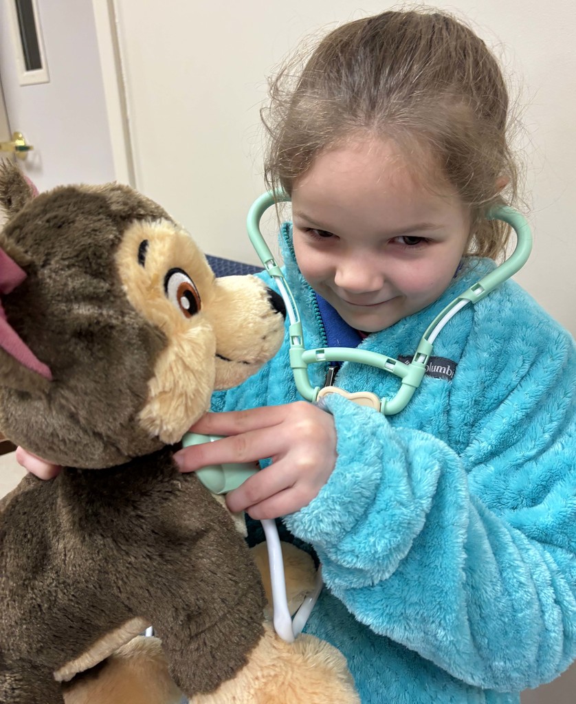 girl using stethoscope on stuffed animal