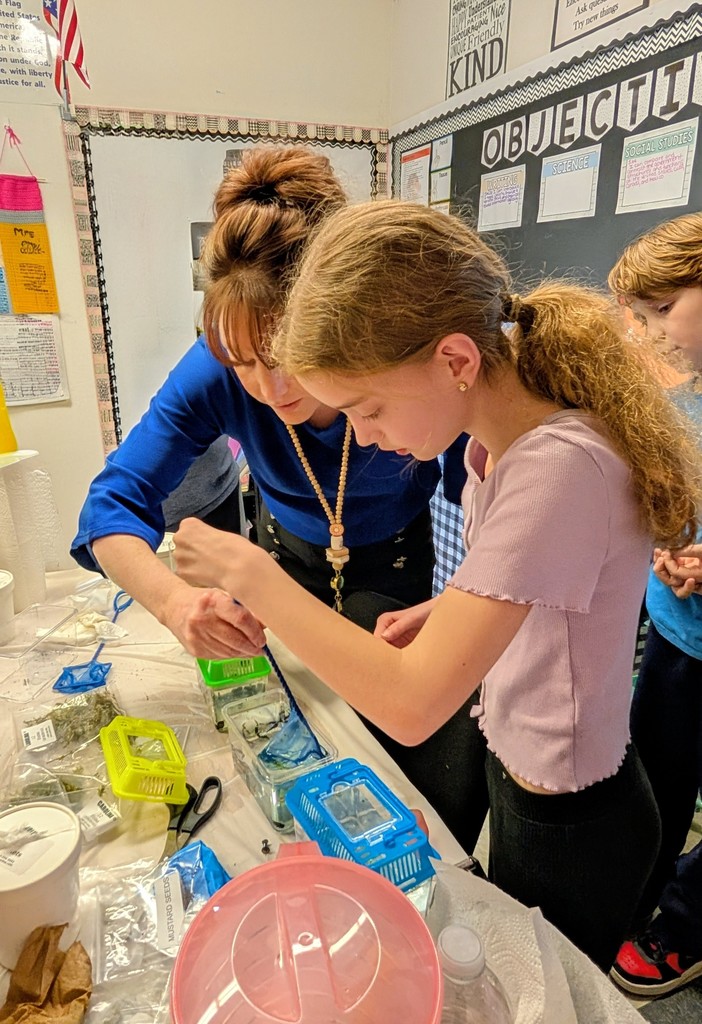 teacher helping a student fish something out a container