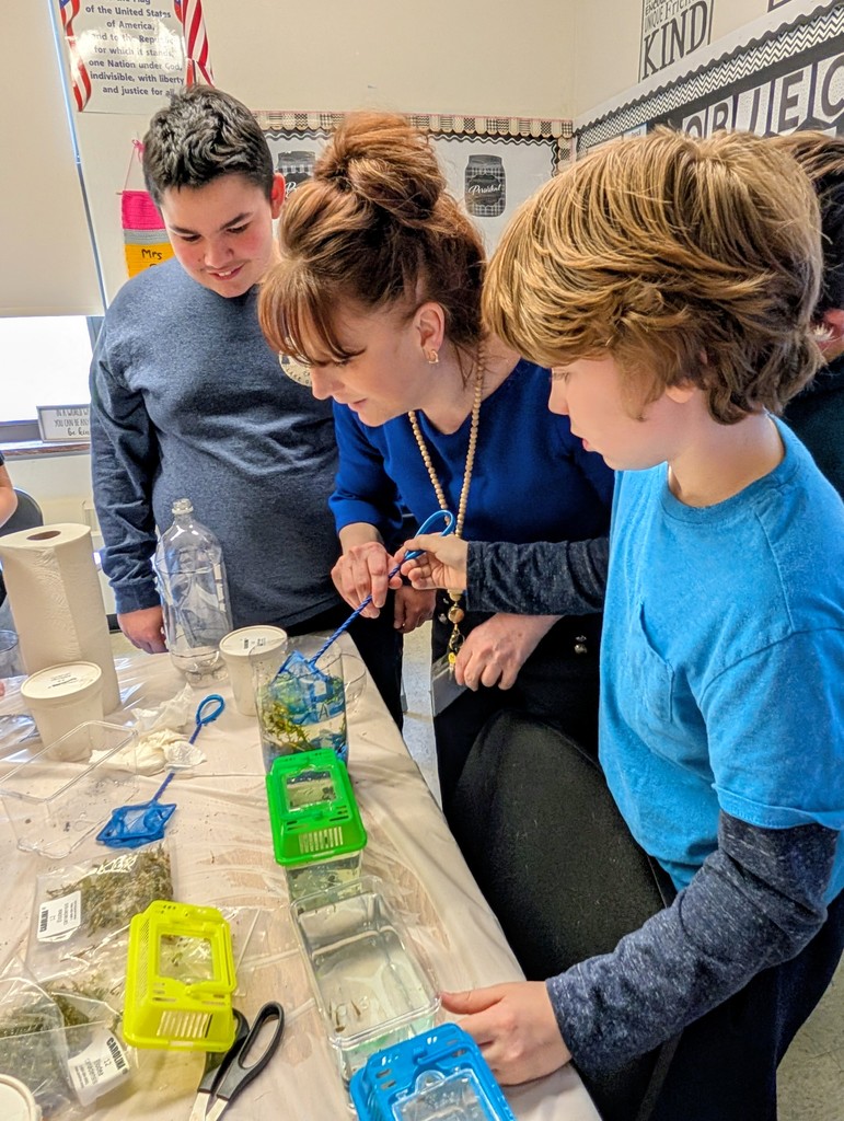 teacher helping student fish something out of water while another student watches
