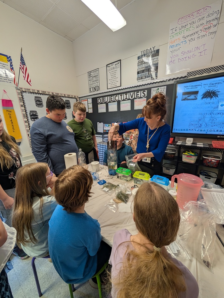 students watching techer in classroom do experiement