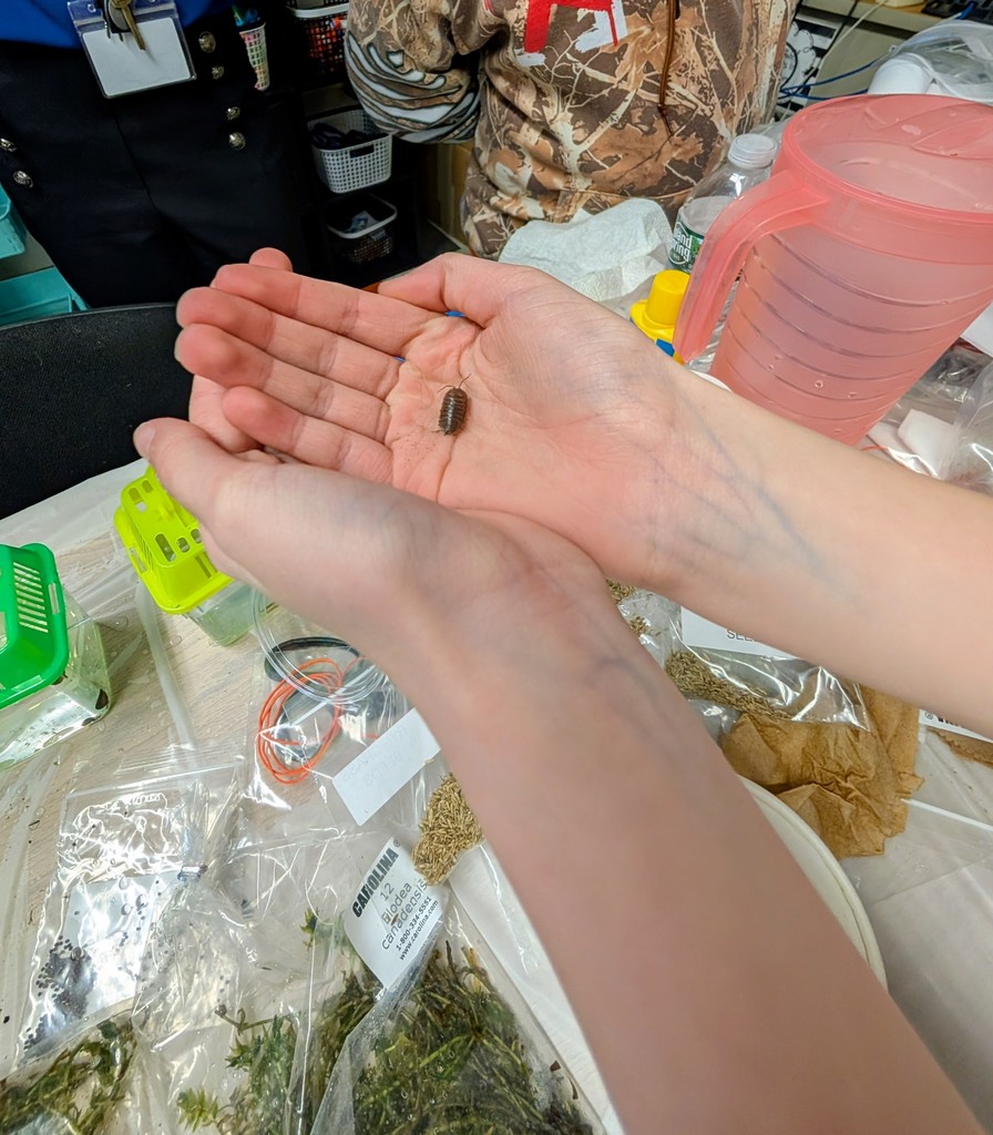 a person holding an insect