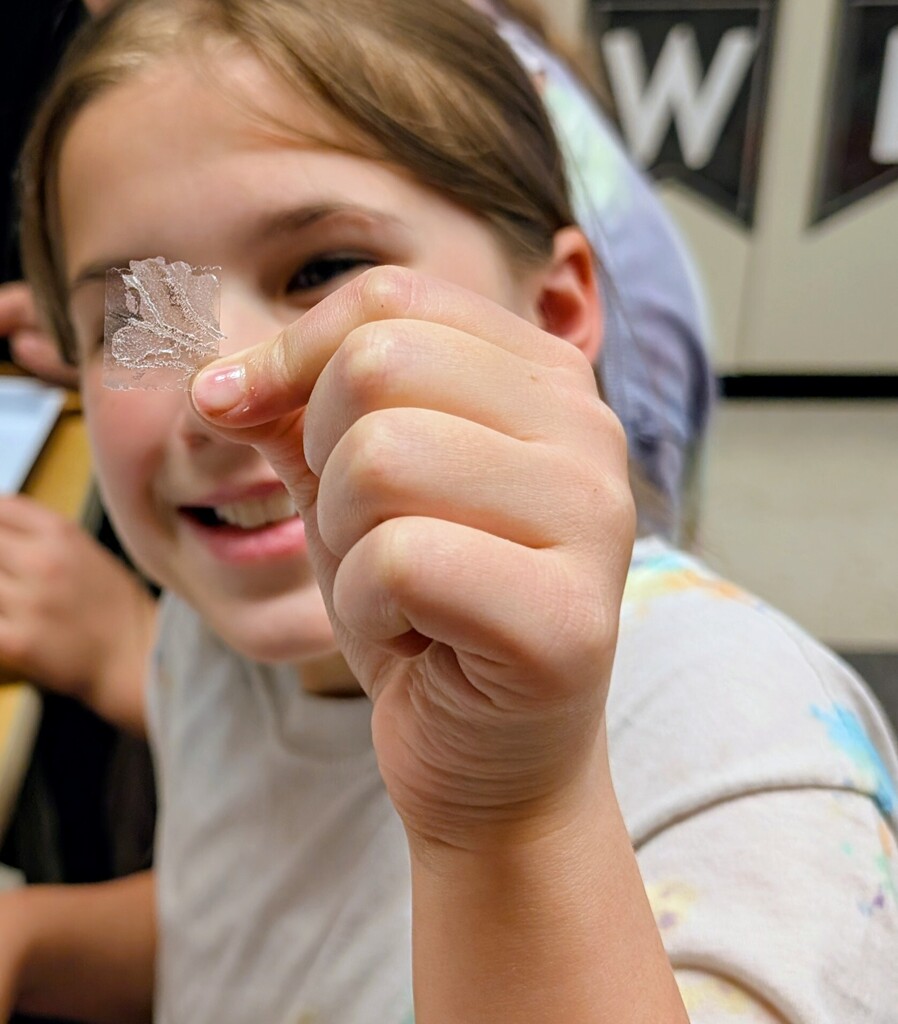 student holding a leaf