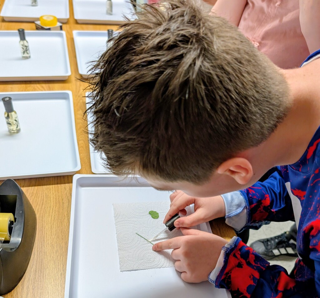 student working on fixing a slide