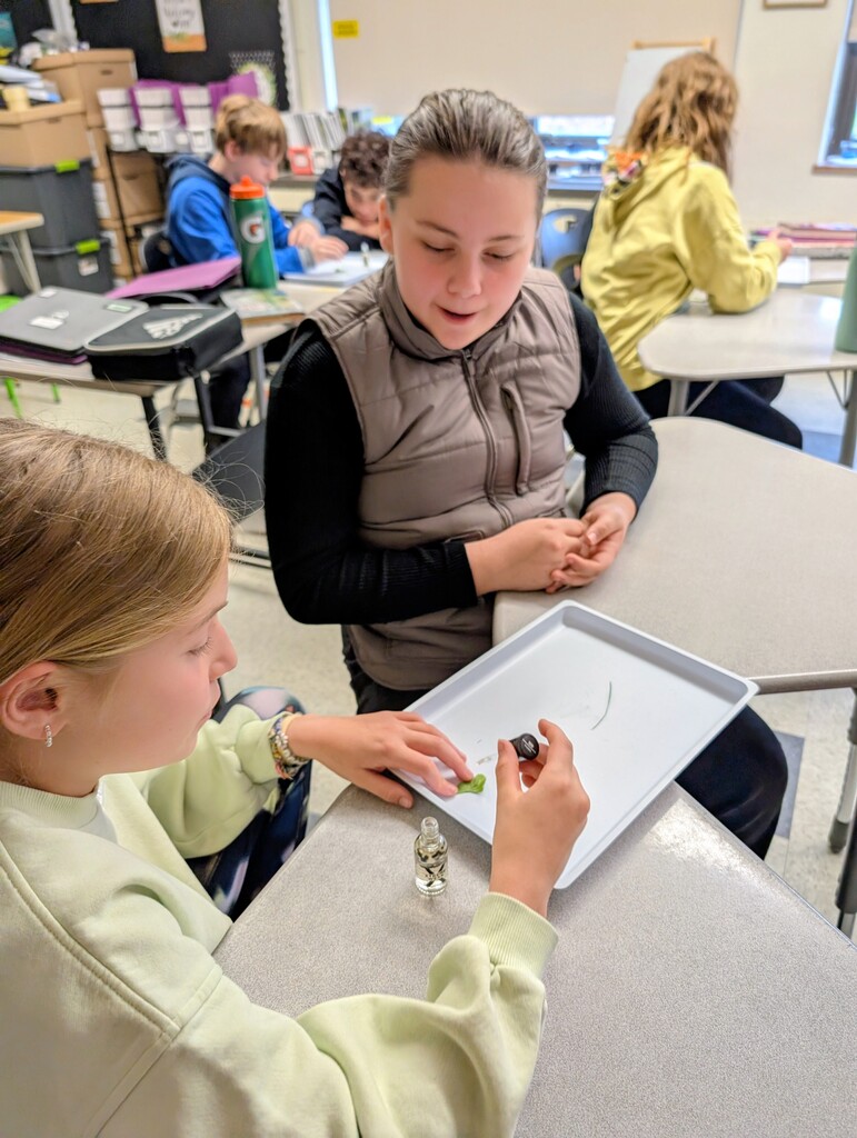 two students working on science experiment