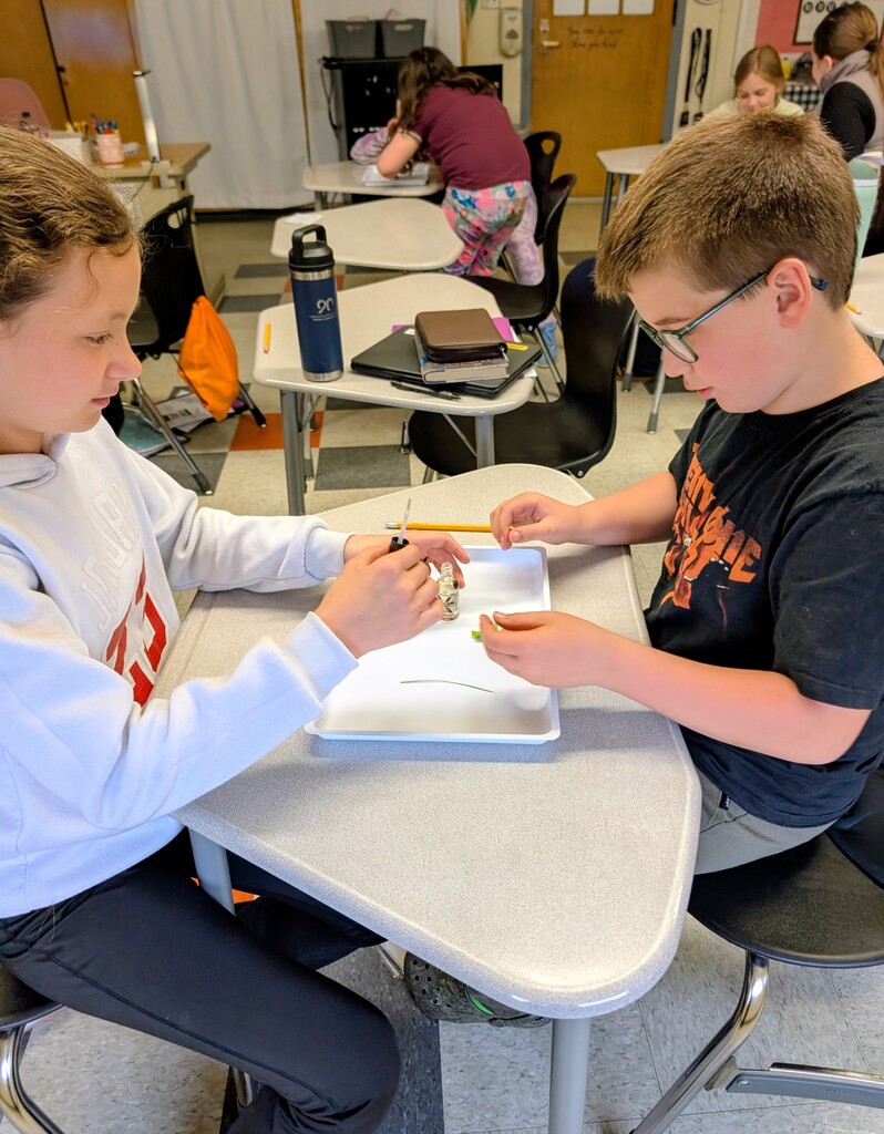two students working on science experiment