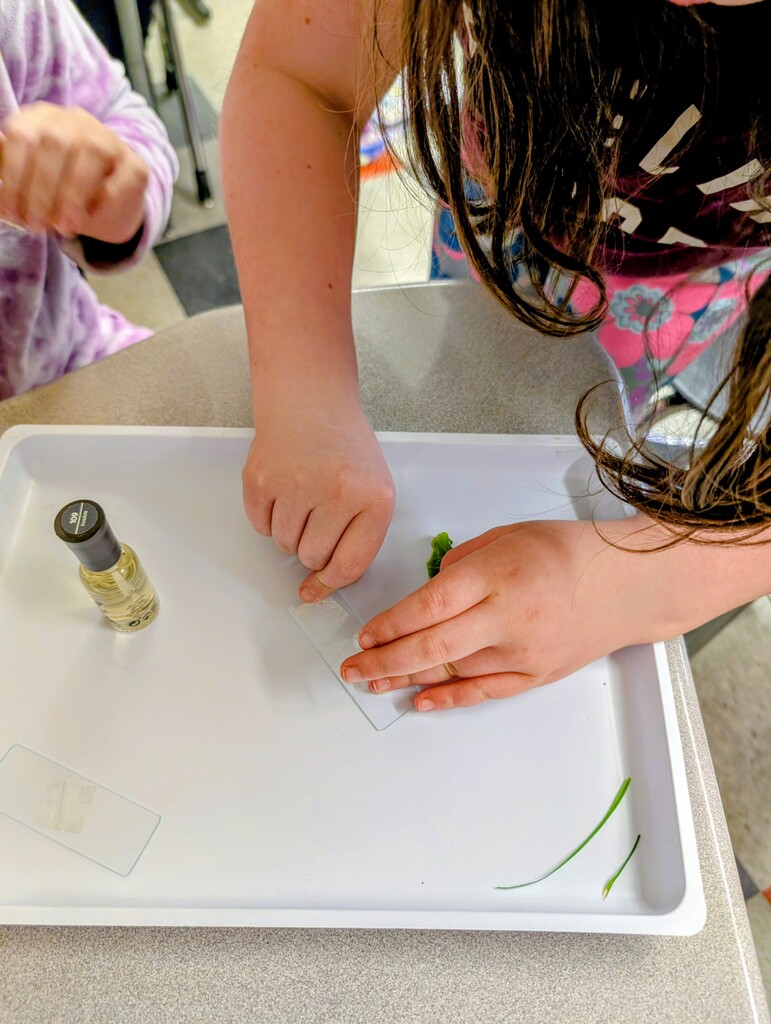 student working on slide fixing