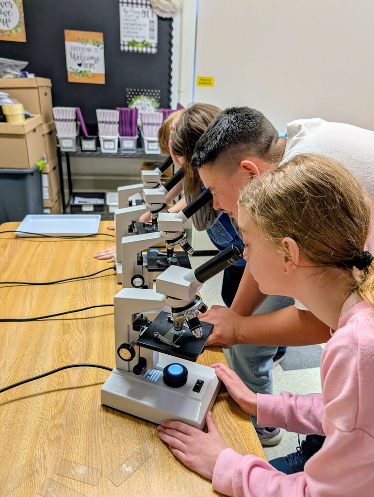 students looking through microscopes