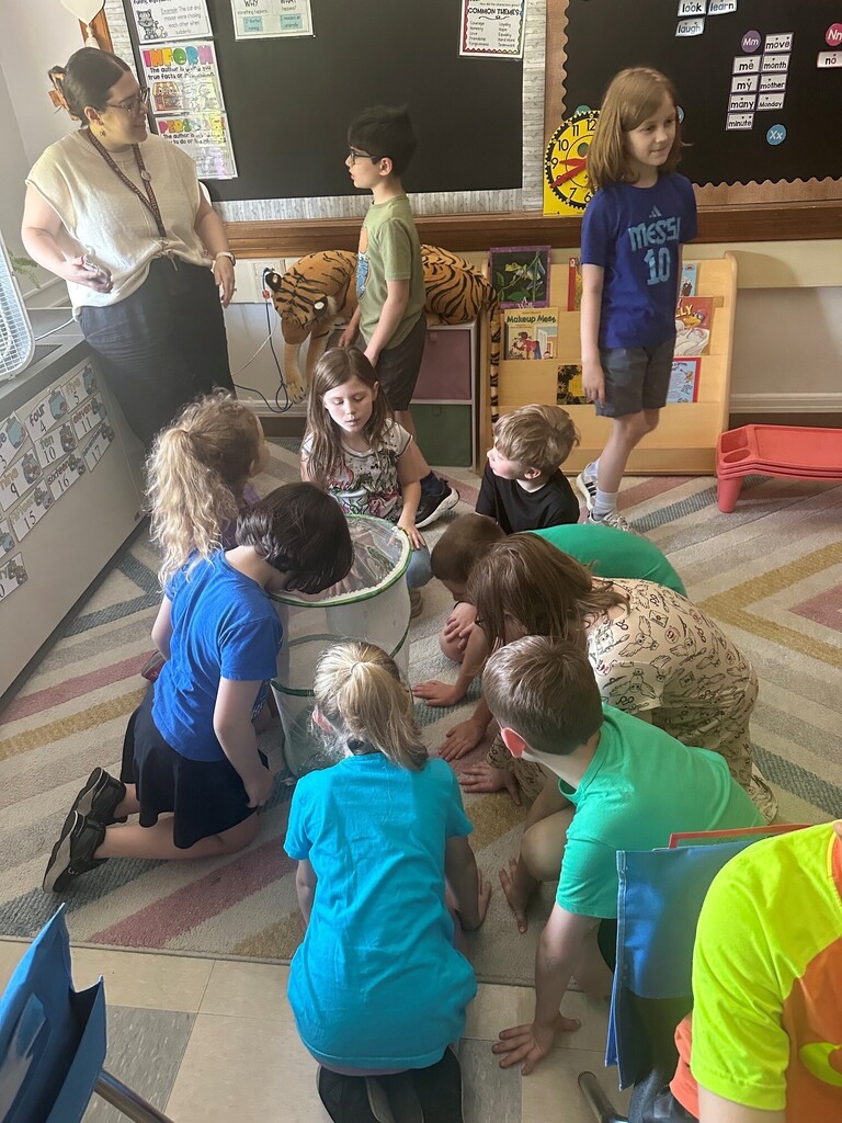 students looking at butterflies in their housing unit