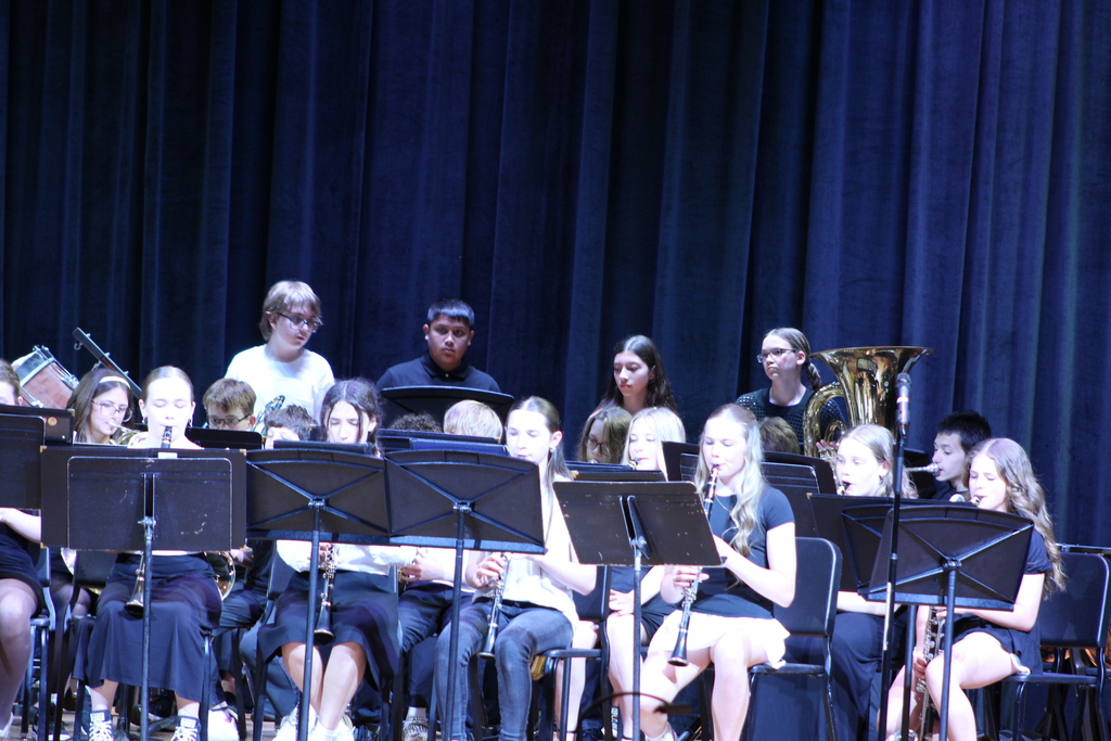 students playing instruments in band on stage
