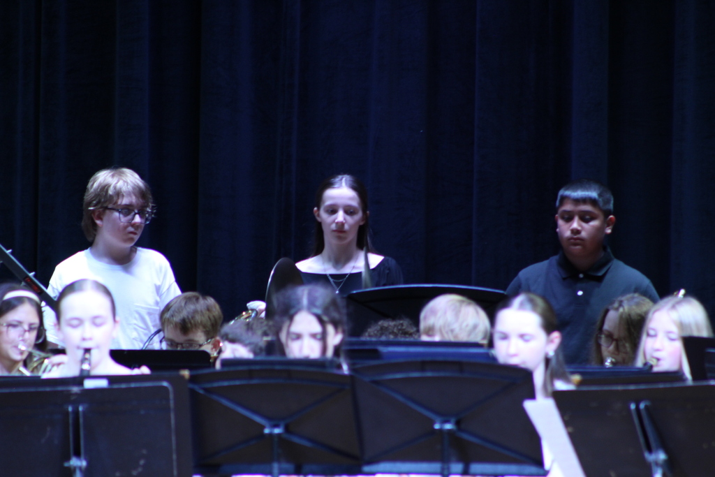 students playing instruments in band on stage