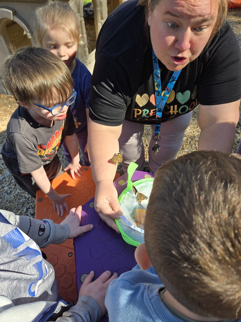 teacher showing students butterflies in container