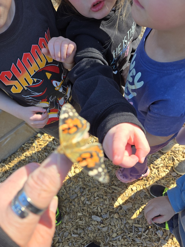 students looking at butterfly on teacher's finger